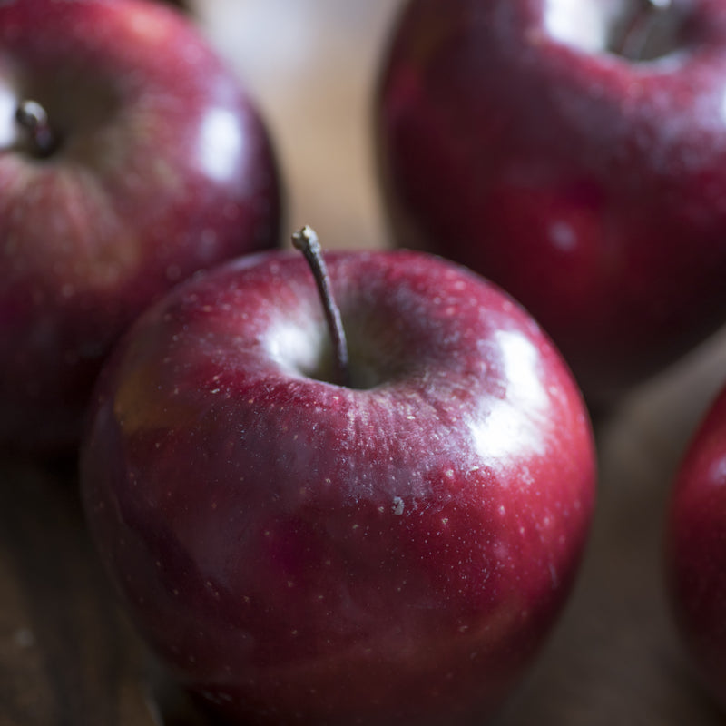 Rome Beauty Apple Tree Green Thumbs Garden