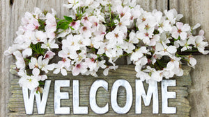 Hello & Welcome!