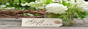 Gift Cards