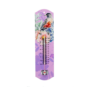 Outdoor Metal Thermometer