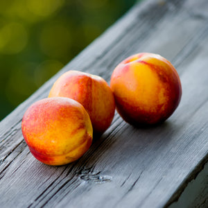 Reliance Peach Tree