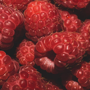 Coho Red Raspberry