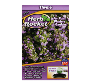 Herb Rocket Seed Kit