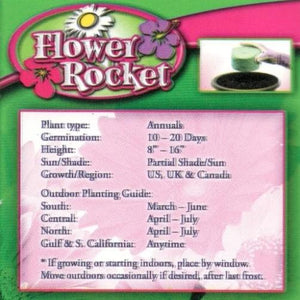 Flower Rocket Seed Kit