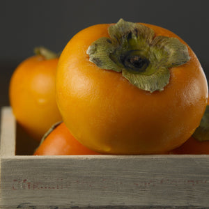 American Persimmon Tree