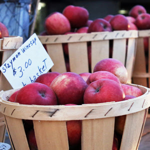 Stayman Winesap Apple GT